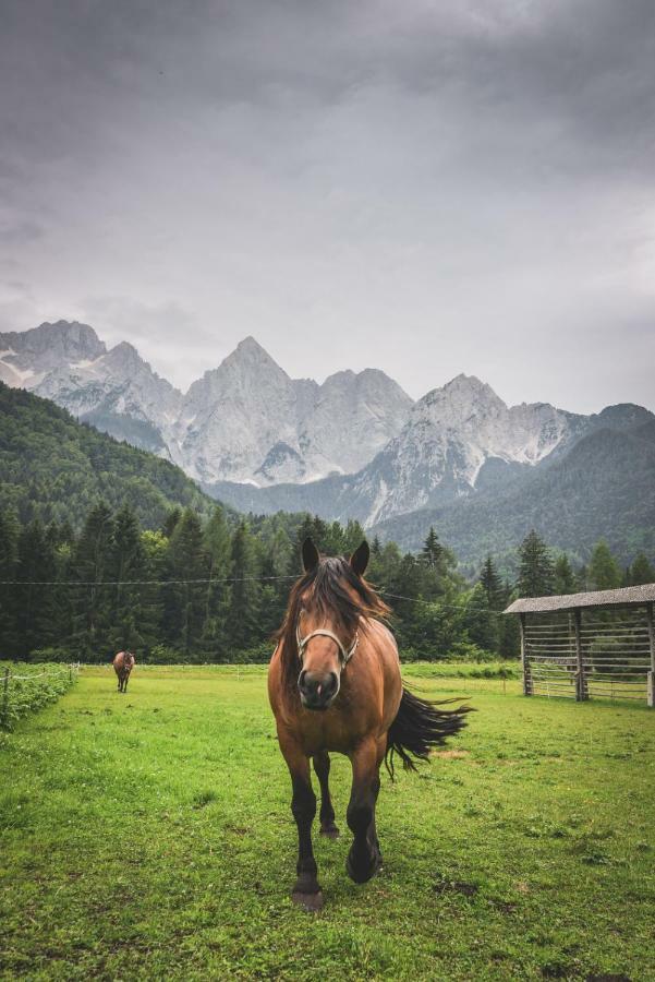 Klass 210 Kranjska Gora Exterior foto